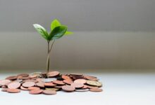 Photo of Как заработать на SEO в 2025 году: 12 эффективных стратегий