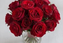 Photo of Как уменьшить цену лида в 4 раза на примере цветочного интернет-магазина