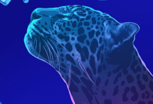 Photo of Линкбилдинг без риска: как интеграция SEO-метрик Semrush в LinksSape упрощает анализ ссылок