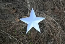 Photo of Отзывы, которые двигают выдачу: как репутация формирует результаты поисковиков и ИИ