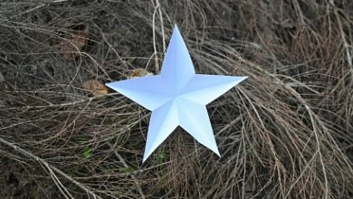 Photo of Отзывы, которые двигают выдачу: как репутация формирует результаты поисковиков и ИИ