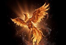 Photo of Когда алгоритмы начинают понимать: тренды SEO на 2026 год 